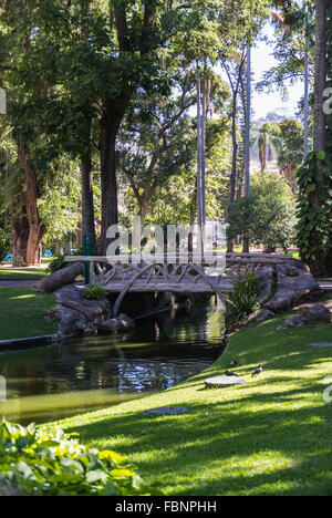 Motivi di Palazzo Catete, Rio de Janeiro, Brasile Foto Stock