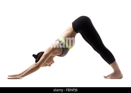 Ritratto di sportivo giovane e bella bruna donna abbigliamento sportivo in reggiseno e pantaloni neri, facendo rivolta verso il basso posa del cane Foto Stock