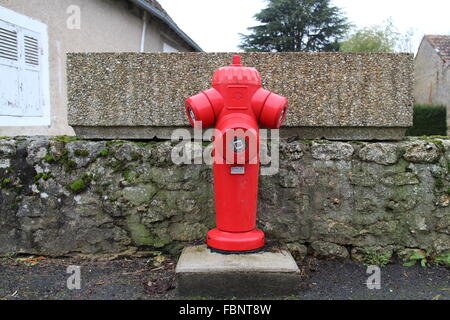 Incendio in un marciapiede di Saint Pierre de Maillé, Francia. Foto Stock