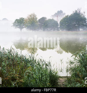 Fotografia di mattina presto foschia sopra il lago di Blickling nel Norfolk Foto Stock