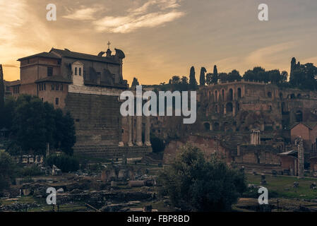 Roma, Italia: il Foro Romano Foto Stock