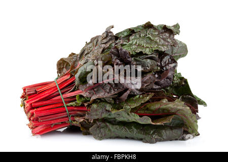 Bietola da coste rossa Foto Stock