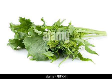 Cime di rapa fresco Foto Stock