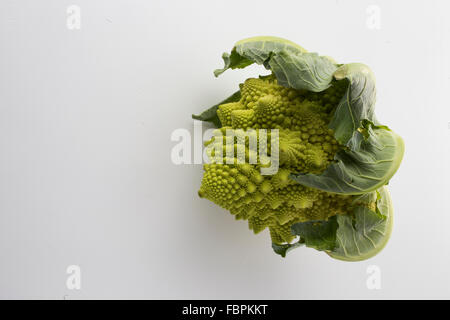 Studio shot di Cavolo broccolo isolato Foto Stock