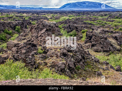 Nord Islanda Islanda. 1 agosto, 2015. Il gigante frastagliati vulcanico campo di lava a Dimmuborgir (letteralmente ''˜buio Castelli") con una forma insolita pilastri, dirupi e formazioni rocciose, reminiscenza di una antica cittadella collassato, fu creato circa duemila anni fa da un flusso di lava. Queste strutture drammatiche, a est di MÃ½vatn nel nord dell'Islanda, sono uno dei suoi più popolari naturale attrazioni turistiche. © Arnold Drapkin/ZUMA filo/Alamy Live News Foto Stock