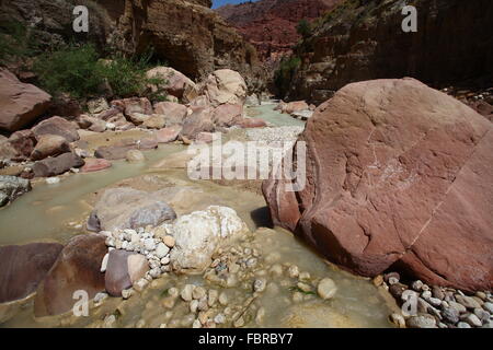 Wadi Zered (Wadi Hassa o presentauna) nella parte occidentale del Giordano. Una pietra arenaria canyon con esecuzione di fresca acqua. Che fluisce nel Mar Morto Foto Stock