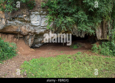 Una caverna alla base di una montagna con due cavalli nascondere all'interno. Foto Stock