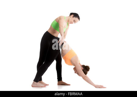 Gruppo di due ragazze slim facendo formazione yoga insieme, istruttore studente di correzione, regolazione di cintura in rivolta verso il basso dello yoga del cane Foto Stock