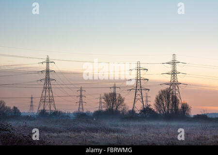 Tottenham paludi, LONDRA, REGNO UNITO, 19 gennaio 2016. Regno Unito: Meteo temperature di congelamento gettato una coltre di brina su Tottenham paludi e di uno strato di ghiaccio sul fiume Lee. Credito: Patricia Phillips/Alamy Live News Foto Stock