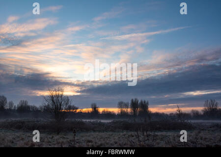 Tottenham paludi, LONDRA, REGNO UNITO, 19 gennaio 2016. Regno Unito: Meteo temperature di congelamento gettato una coltre di brina su Tottenham paludi e di uno strato di ghiaccio sul fiume Lee. Credito: Patricia Phillips/Alamy Live News Foto Stock