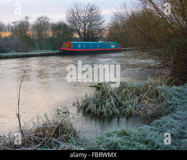 Tottenham paludi, LONDRA, REGNO UNITO, 19 gennaio 2016. Regno Unito: Meteo temperature di congelamento gettato una coltre di brina su Tottenham paludi e di uno strato di ghiaccio sul fiume Lee. Credito: Patricia Phillips/Alamy Live News Foto Stock