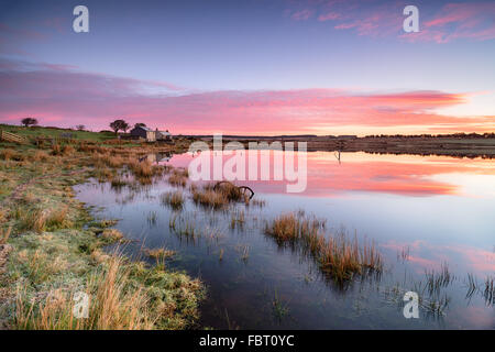 Incredibile inverno alba Dozmary Pool, un piccolo lago naturale vicino Bolventor su Bodmin Moor in Cornovaglia e ha detto di essere il hom Foto Stock
