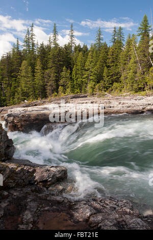 Torrente impetuoso sulle rocce nel Parco Nazionale di Glacier, Montana, USA Foto Stock