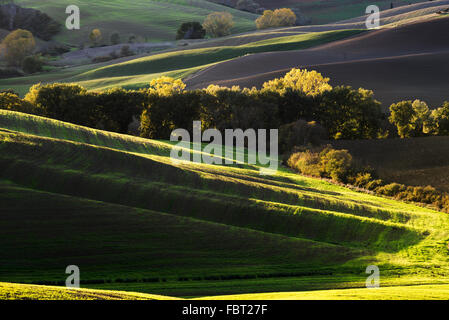 Molla colorato paesaggio rurale in Toscana, Italia Foto Stock