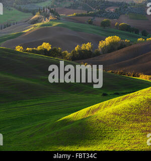 Molla colorato paesaggio rurale in Toscana, Italia Foto Stock