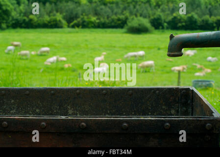 Il canale di irrigazione in agriturismo Foto Stock