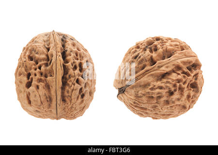Frutta noce closeup isolati su sfondo bianco Foto Stock