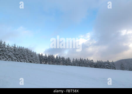 La serena atmosfera invernale in un paesaggio ricoperto di neve a Girkhausen, Bad Berleburg, Sauerland, Renania settentrionale-Vestfalia (Germania). Foto Stock