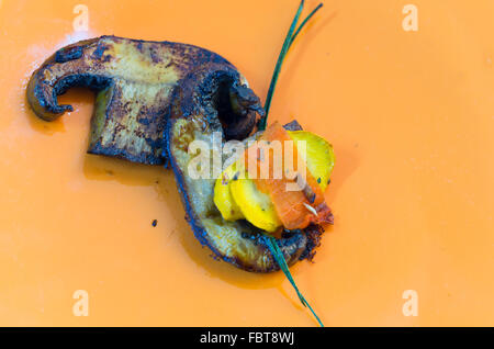 Funghi Fritti, zucchine e zenzero slice giacente sulla superficie arancione Foto Stock