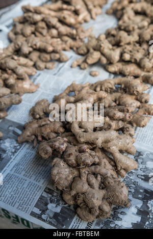 Pile di radice fresca di zenzero visualizzato sul giornale. Disposti in quantità per l'acquisto al mercato di Kohima, Nagaland, India. Foto Stock