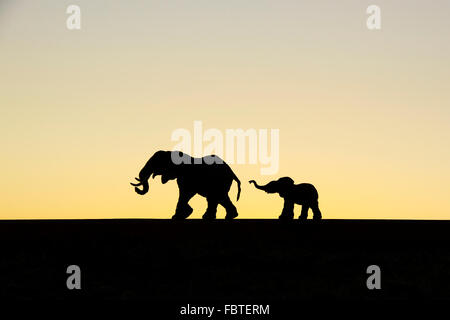 Modello giocattolo elefanti silhouette contro un cielo alba Foto Stock