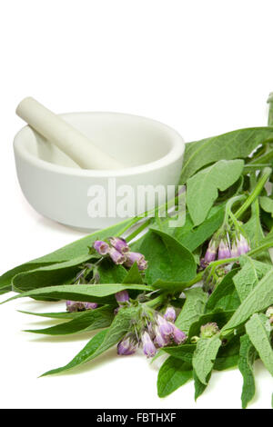 Comfrey con malta Foto Stock