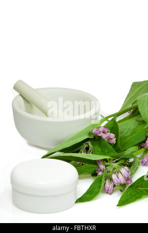 Comfrey con crema pot Foto Stock