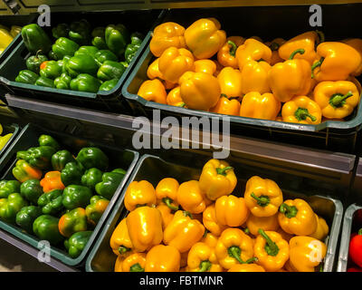 Il capsicum colorate nel mercato ortofrutticolo Display Foto Stock
