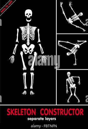 Costruttore di scheletro Foto Stock