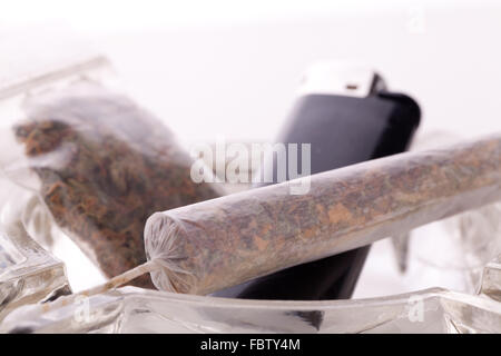 Close up di marijuana giunto fatto con traslucido rolling papers, plastica larghi di marijuana essiccate, nero più leggero e il tubo su sfondo bianco Foto Stock