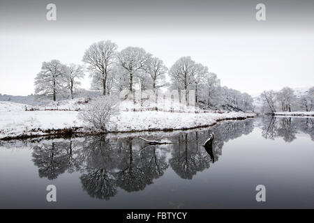 Refelctions nel fiume Brathay dopo una notte di caduta di neve in The Langdale Valley, Lake District, UK. Preso il 17 gennaio 2016. Foto Stock
