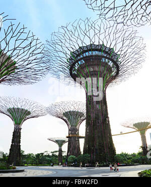 La gente nei giardini dalla baia al tramonto in Singapore. Giardini della baia è stato incoronato Buildi mondiale Foto Stock