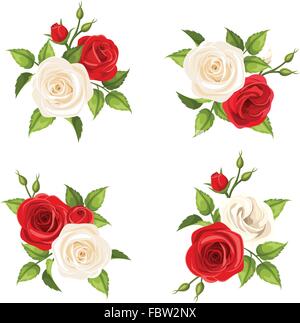 Mazzi di fiori di colore rosso e bianco di rose. Set di vettore di quattro illustrazioni. Illustrazione Vettoriale