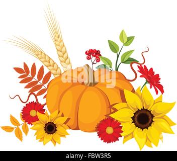 Autunno di zucca e fiori. Illustrazione Vettoriale. Illustrazione Vettoriale