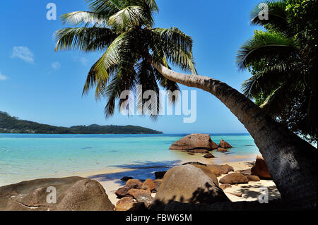 Spiaggia di Anse à la Mouche Foto Stock