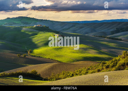 Fantastico soleggiato campo rientrano in Italia, Toscana paesaggio. Foto Stock