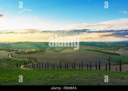 Fantastico soleggiato campo rientrano in Italia, Toscana paesaggio. Foto Stock