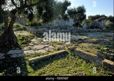 Italia, Toscana, Argentario, Orbetello, Ansedonia, rovine dell'antica città romana di cosa, foro Foto Stock