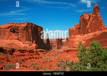 Park Avenue è rosso formazioni rocciose scolpite da Entrada arenaria nel Parco Nazionale di Arches Moab Utah, Stati Uniti d'America. Foto Stock