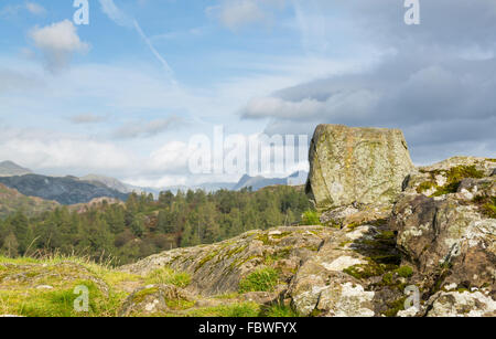 Vista su Tarn Hows nel Lake District inglese Foto Stock