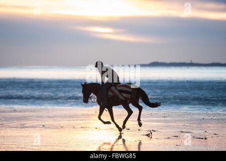 Spiaggia di Ferryside, Carmarthenshire, Wales, Regno Unito. 19 gennaio, 2016. Dopo giorni di pioggia in una limpida giornata di sole al tramonto/tramonto.anche se terribilmente freddo un fantino galoppa il suo cavallo sulla spiaggia vuota a Ferryside,Carmarthenshire,Galles,U.K. Credito: Paolo Quayle/Alamy Live News Foto Stock