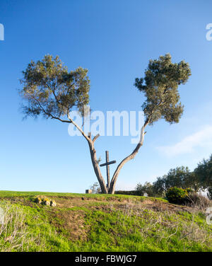 Croce di Serra in Ventura California tra gli alberi Foto Stock