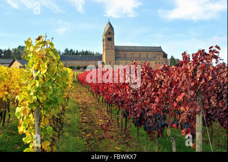 Ruedesheim Abtei santa Ildegarda - Ruedesheim Eibingen Abbey 12 Foto Stock