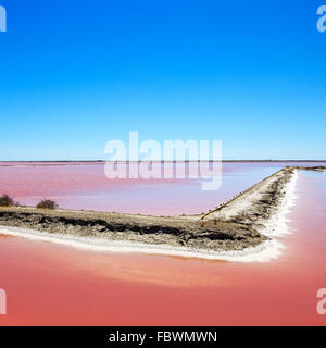 Il parco della Camargue, Giraud sale rosa appartamenti paesaggio. Delta del Rodano, Provenza, Francia. Foto Stock