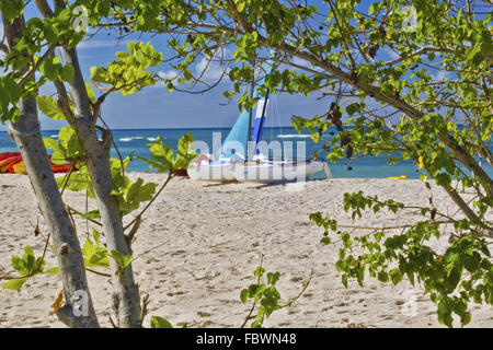 Barche a Guardalavaca's Beach, Cuba Foto Stock