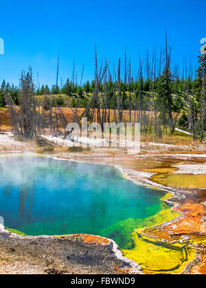 Abisso in piscina a Yellowstone Foto Stock