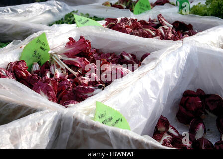 Radicchio al mercato invernale Foto Stock