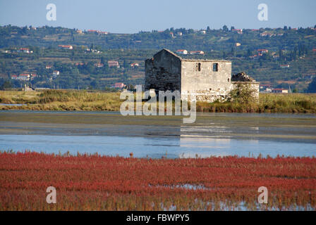 Casa abbandonata in Salt Marsh Foto Stock