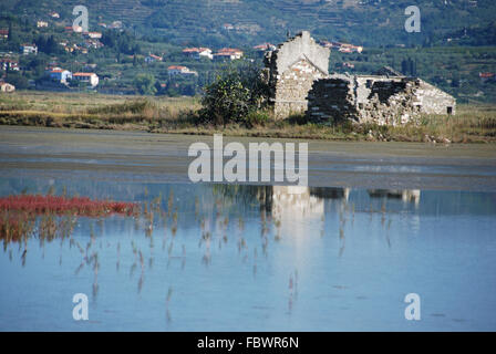 Rovine nella palude salata Foto Stock