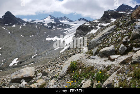 Escursionismo nel Silvretta Foto Stock